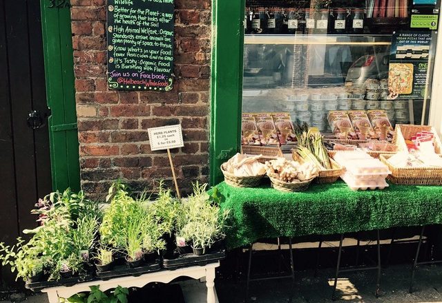 HOLBEACH IMAGE 1Revised